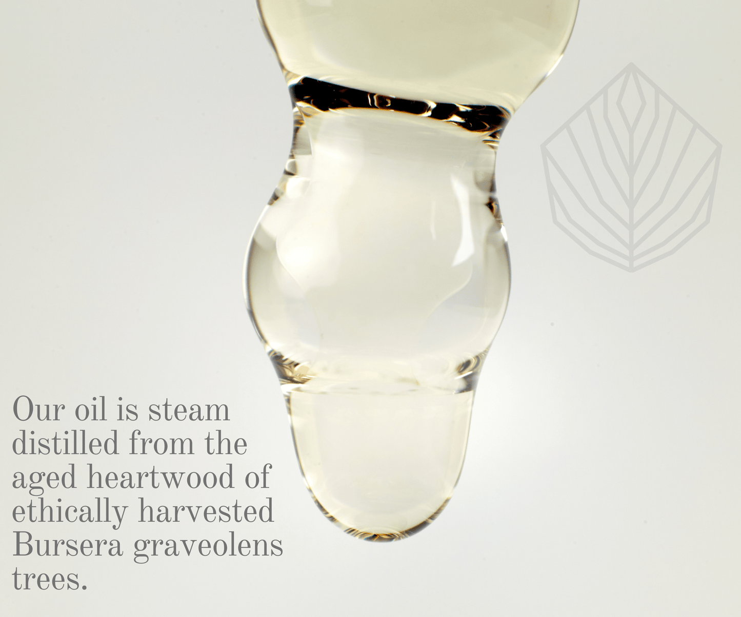 Flora Jane's Essential Oil - Palo Santo FJ-PS-OIL