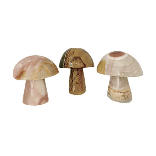 Ocean Jasper Mushrooms